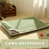 Cama ortopedica premium
