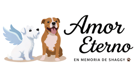Amor Eterno - Mascotas